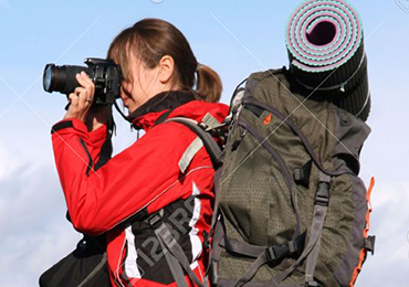 Photographic Safari