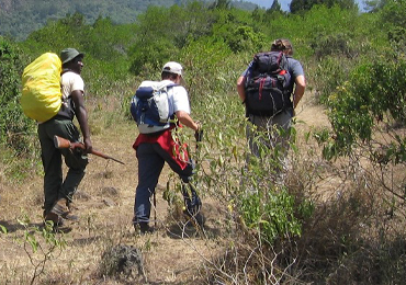Walking Safaris